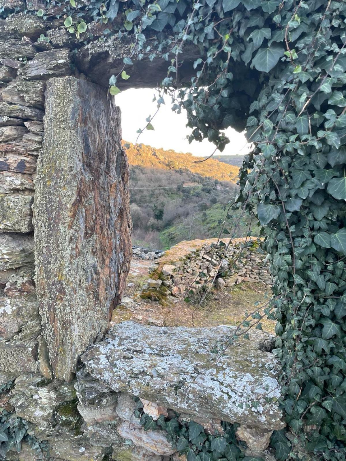 Colmeal Countryside Hotel فيغيريا دي كاستيلو رودريغو المظهر الخارجي الصورة